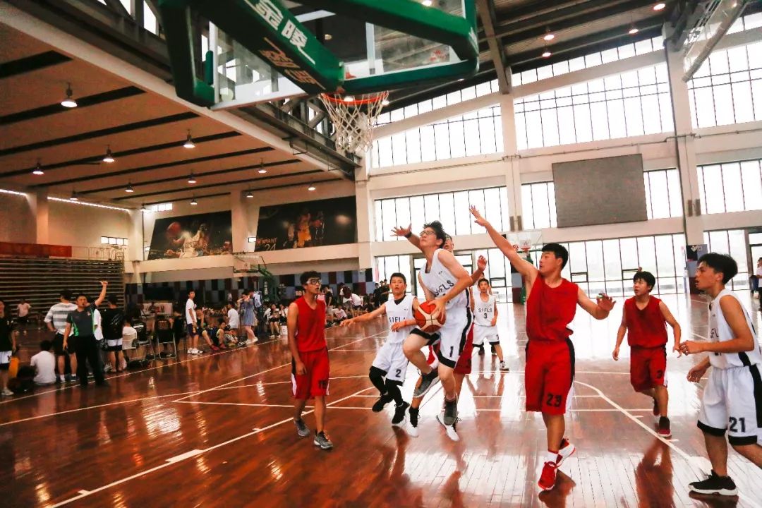 欧洲杯篮球赛（EuroCup Basketball)