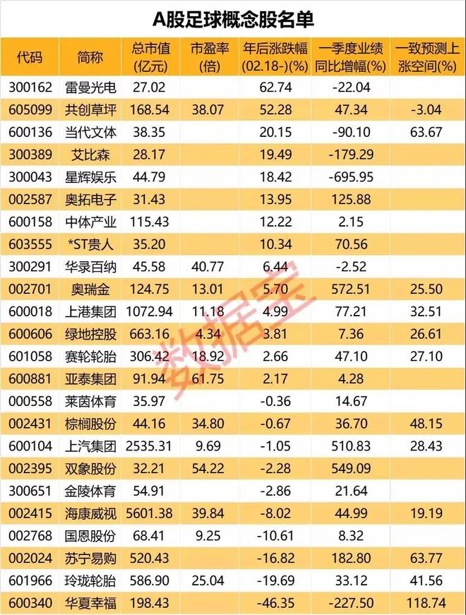 这12家最高级别赞助商将为欧足联本届赛事贡献近20亿欧的收入