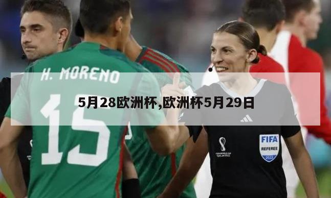 5月28欧洲杯,欧洲杯5月29日