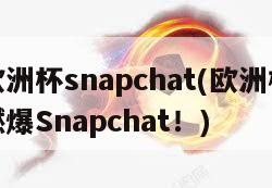 欧洲杯snapchat(欧洲杯燃爆Snapchat！)